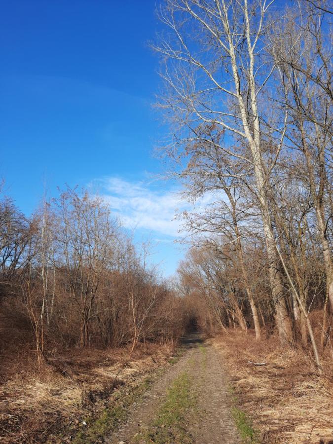 Apartmán Na Wzgorzu Vělička Exteriér fotografie